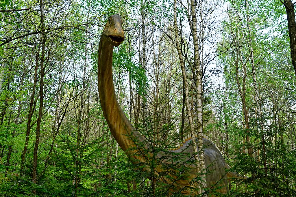 Dino Park Altmühltal MA7_1725_DxO
