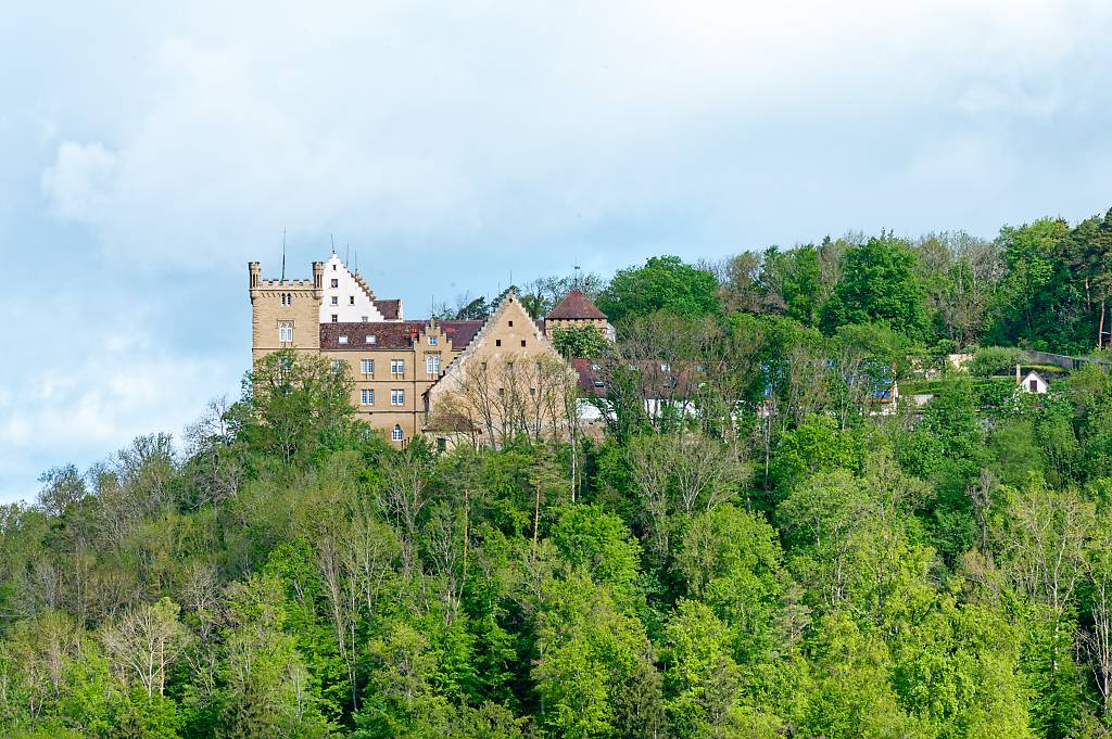 GC Schloss Weitenburg MZ6 _8117_DxO