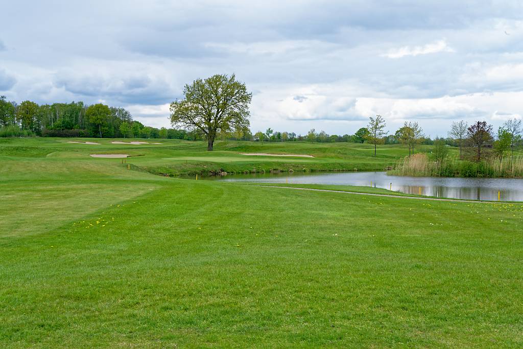 Golf Gut Glinde Meisterschaftsplatz MA7 _0007_DxO_DxO