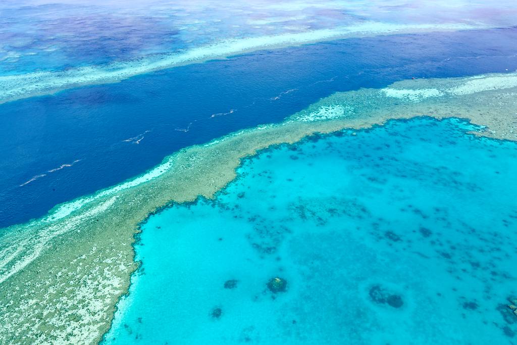 Great Barrier Reef MA7 _8186_DxO