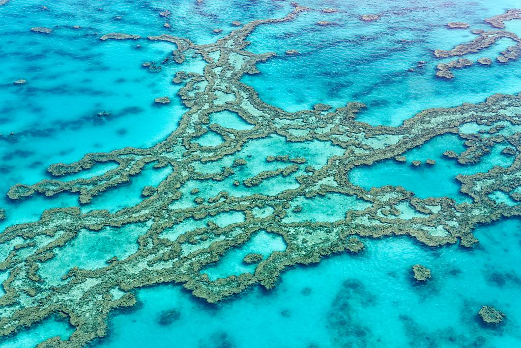 Great Barrier Reef MA7 _8190_DxO