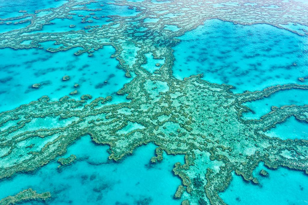 Great Barrier Reef MA7 _8193_DxO