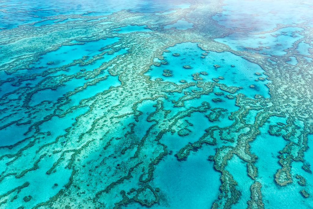 Great Barrier Reef MA7 _8198_DxO