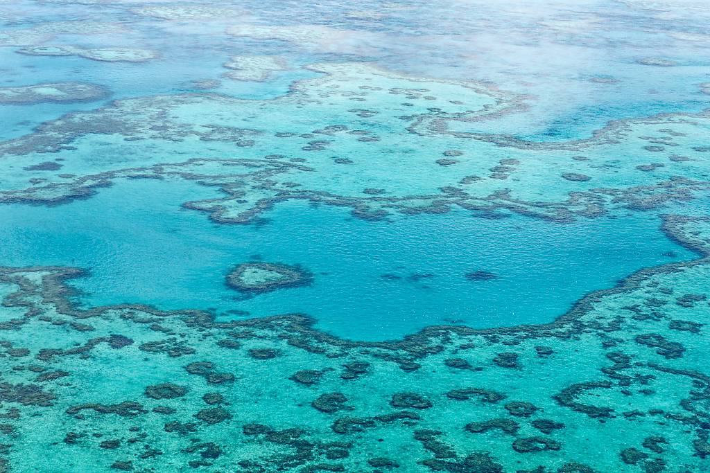 Great Barrier Reef MA7 _8209_DxO