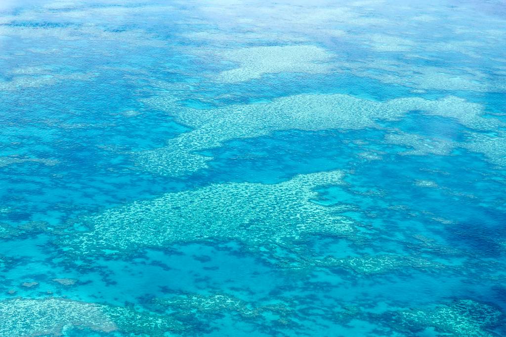 Great Barrier Reef MA7 _8219_DxO