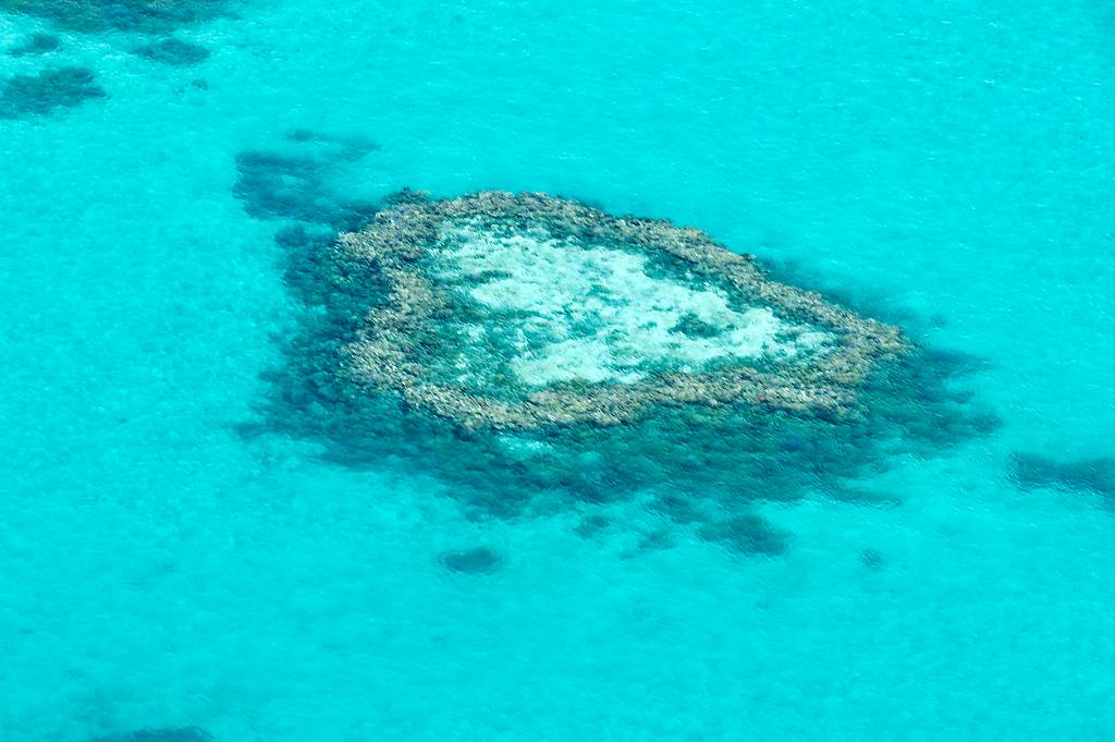 Great Barrier Reef MZ6 _0960_DxO