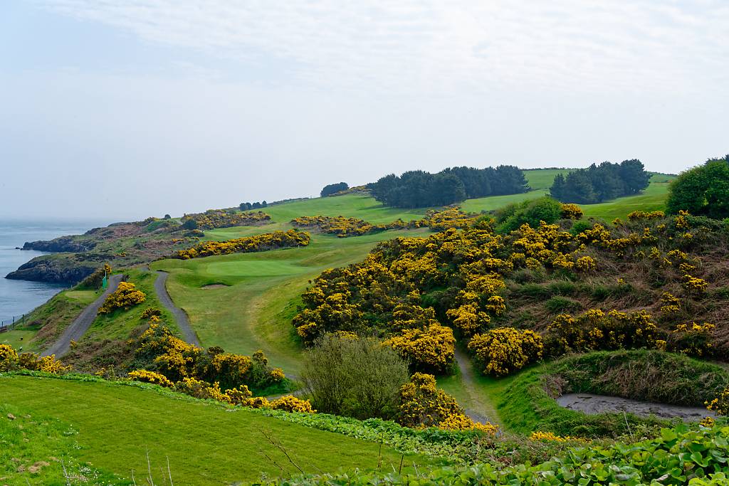 Wicklow GC MA7_1372_DxO