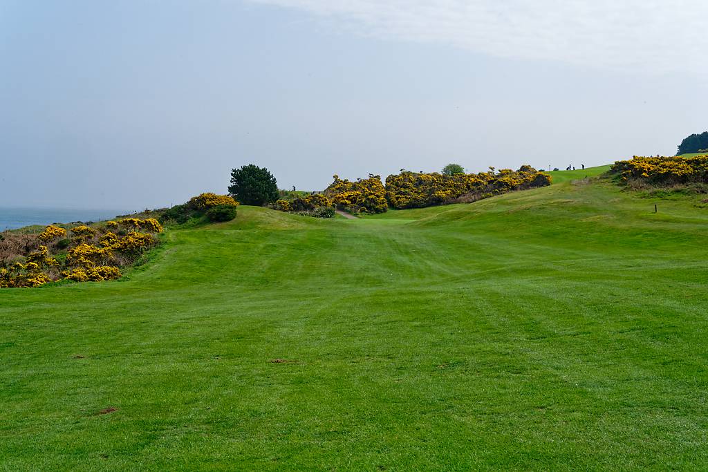 Wicklow GC MA7_1377_DxO