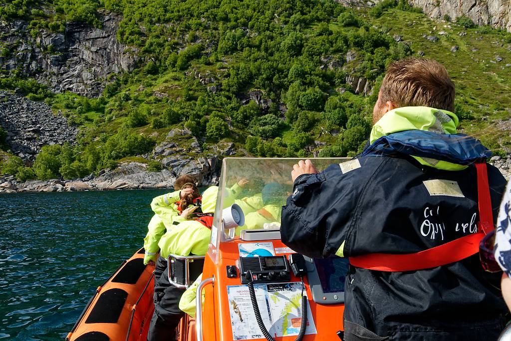 Lofoten Ausflüge RIB Safari DSC _3185_DxO