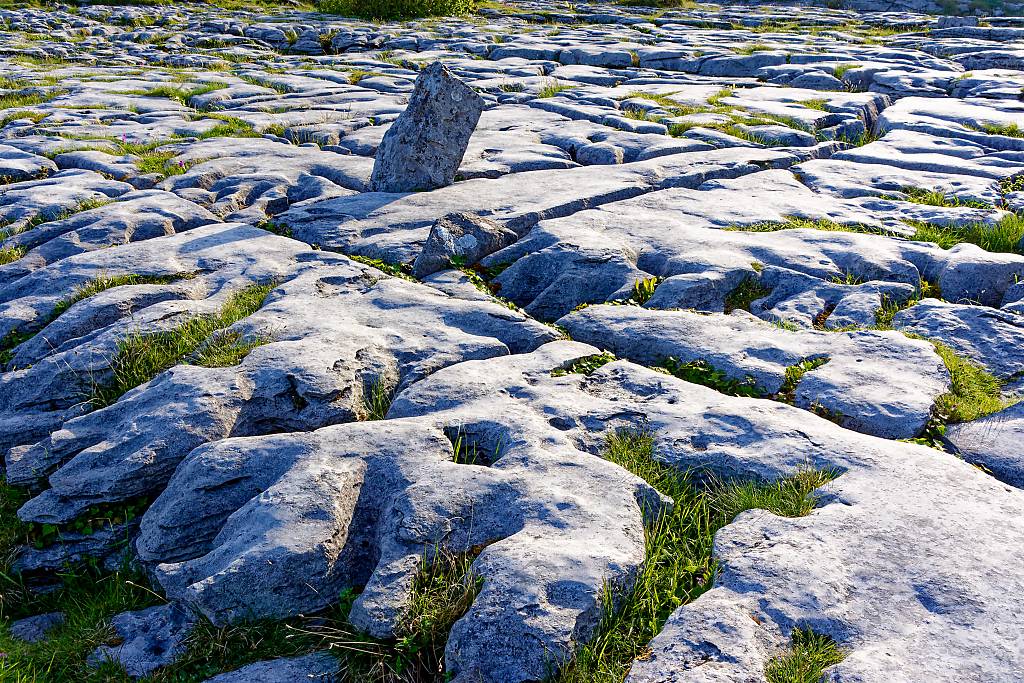 Poulnabrone-Dolmen M72 _7754_DxO