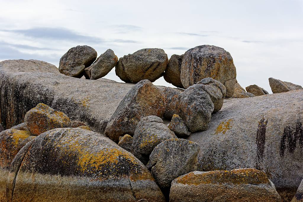 Boulder Pinguine M72 _5782_DxO