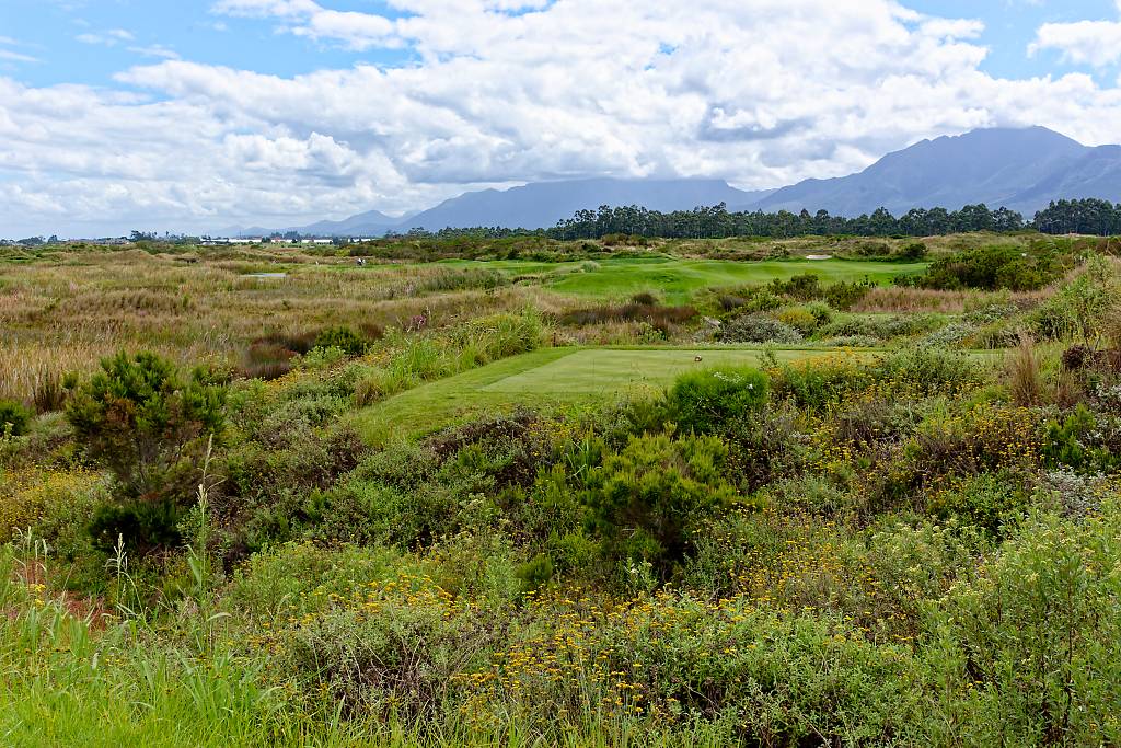 Fancourt Links Bahn 10-18 M72 _6773_DxO