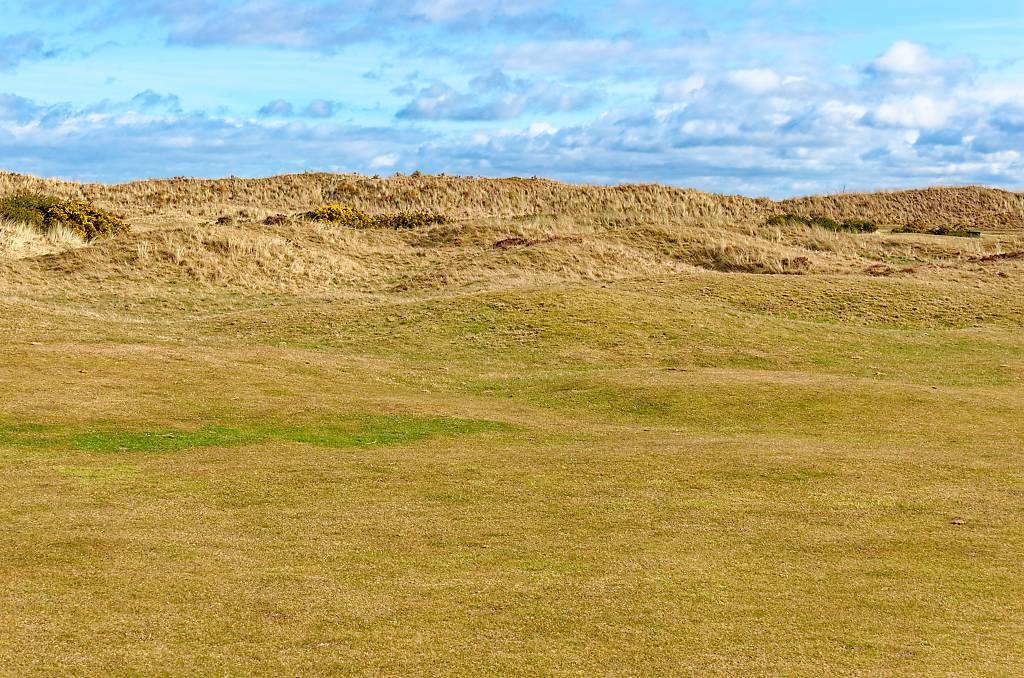 St Andrews New Course MA7 _8488_DxO