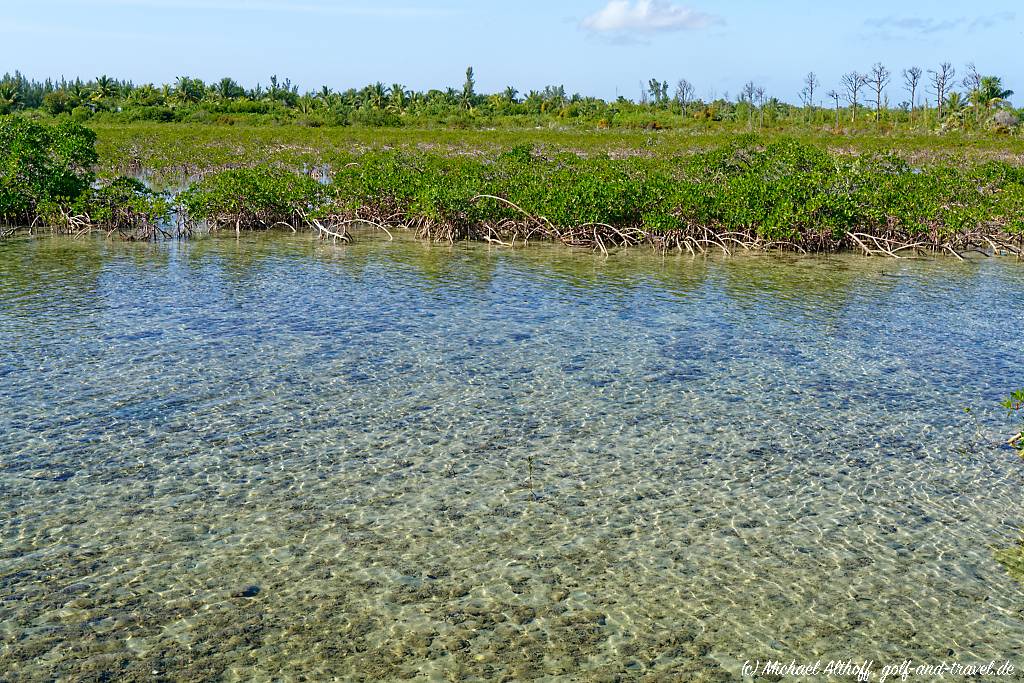 Bahamas Bonefish Pond MA7 _8990_DxO