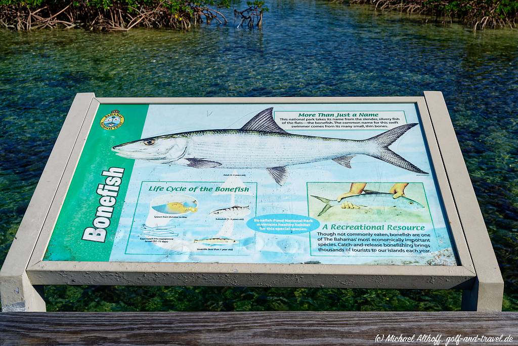 Bahamas Bonefish Pond MA7 _8992_DxO