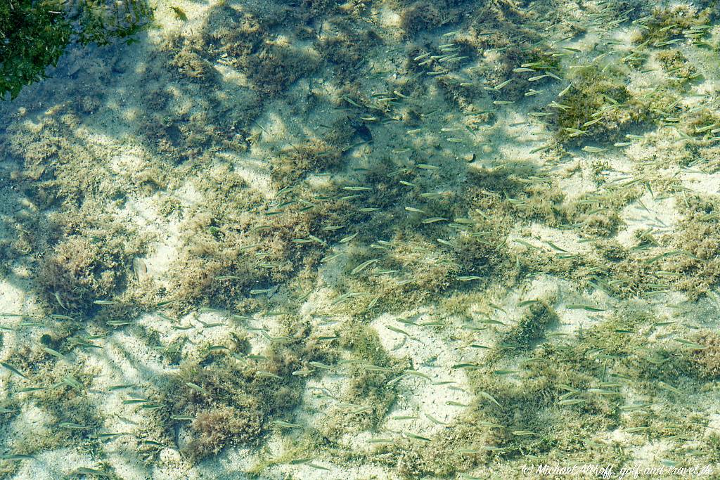 Bahamas Bonefish Pond MA7 _8995_DxO
