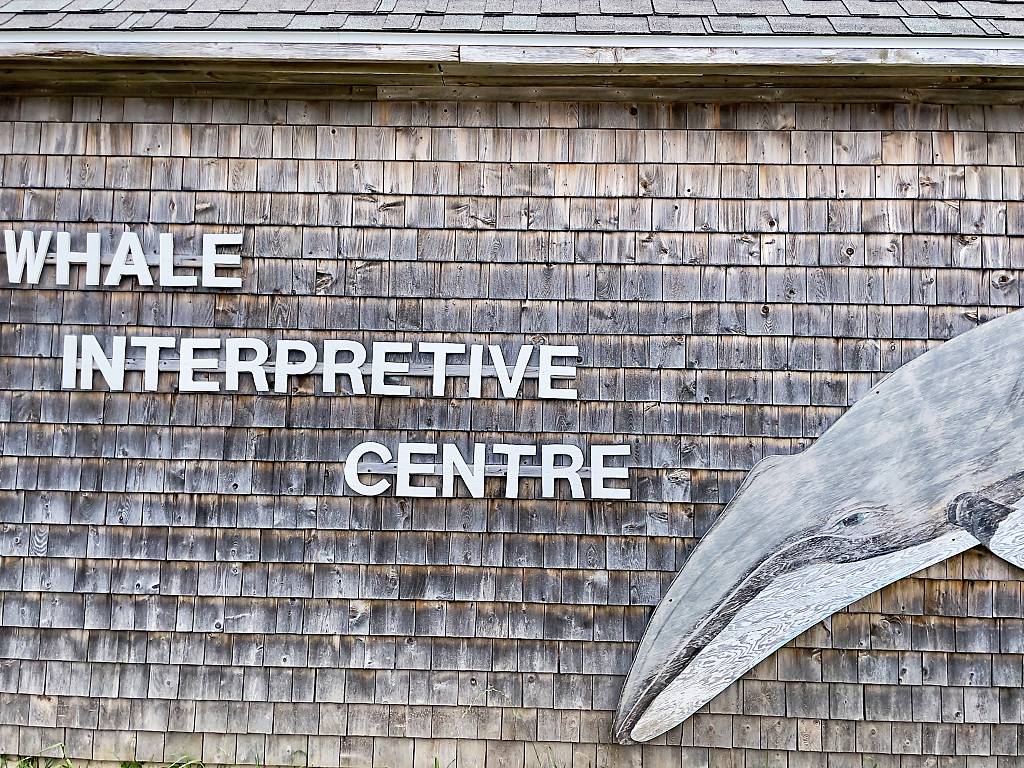 Nova Scotia Ausfluege Whale Center IMG _6997_DxO