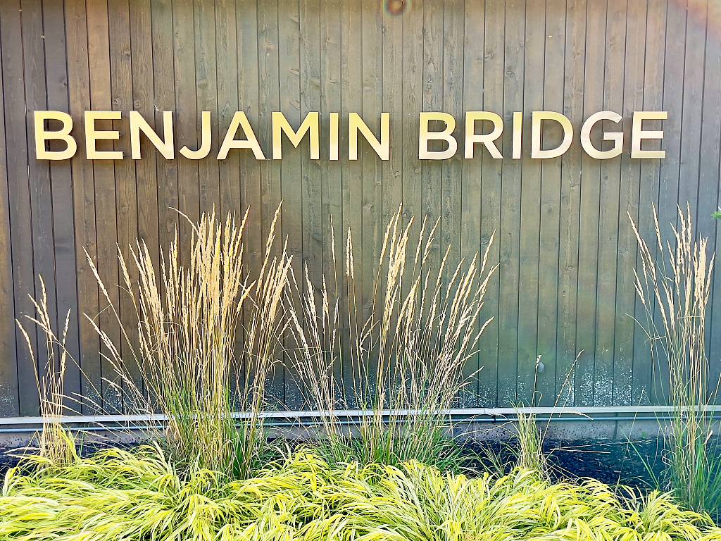 Wein Annapolis Benjamin Bridge IMG _7317_DxO