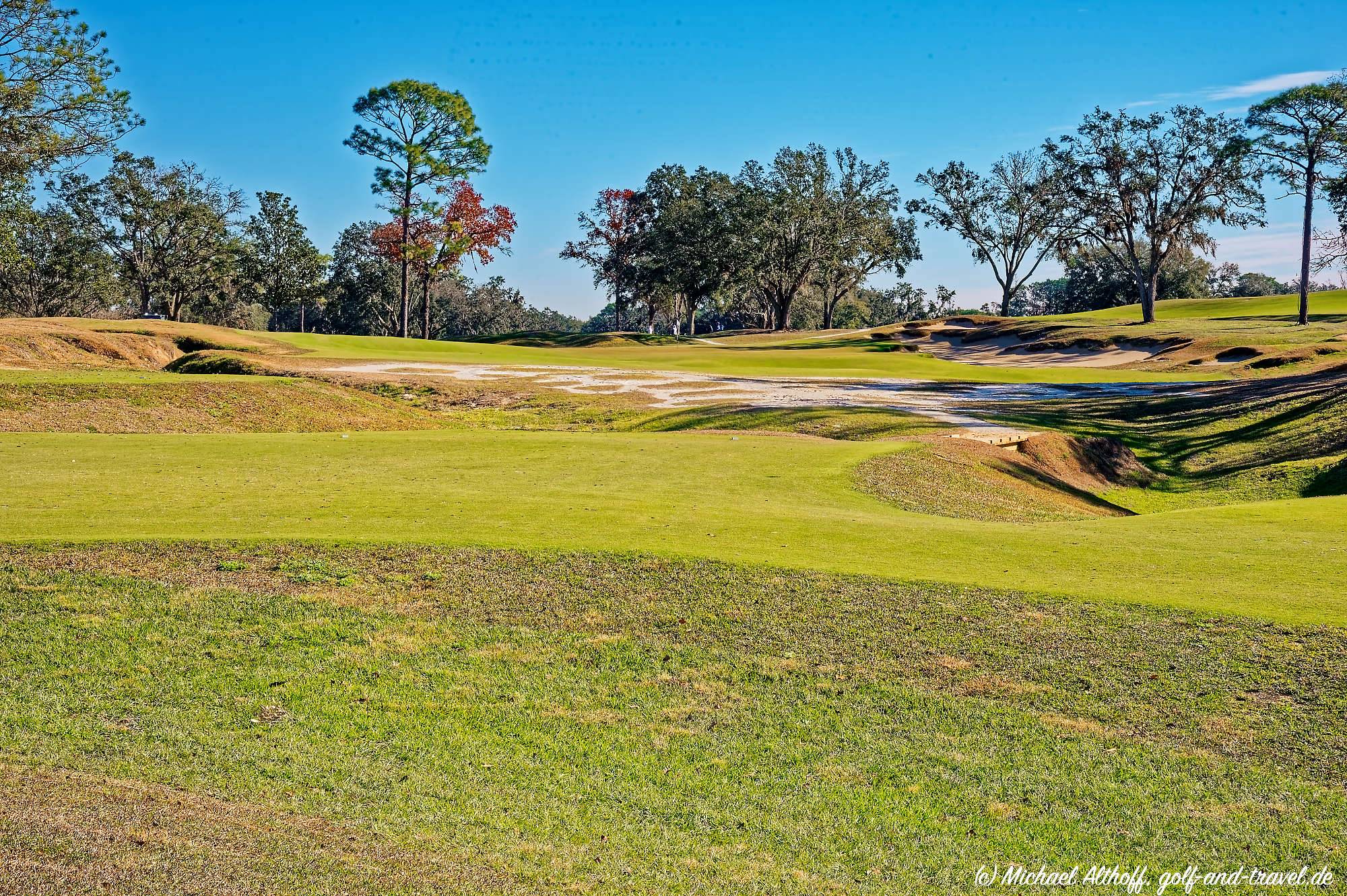 Cabot Citrus Farms Roost Bahn 1-9 MZ6 _8744_DxO