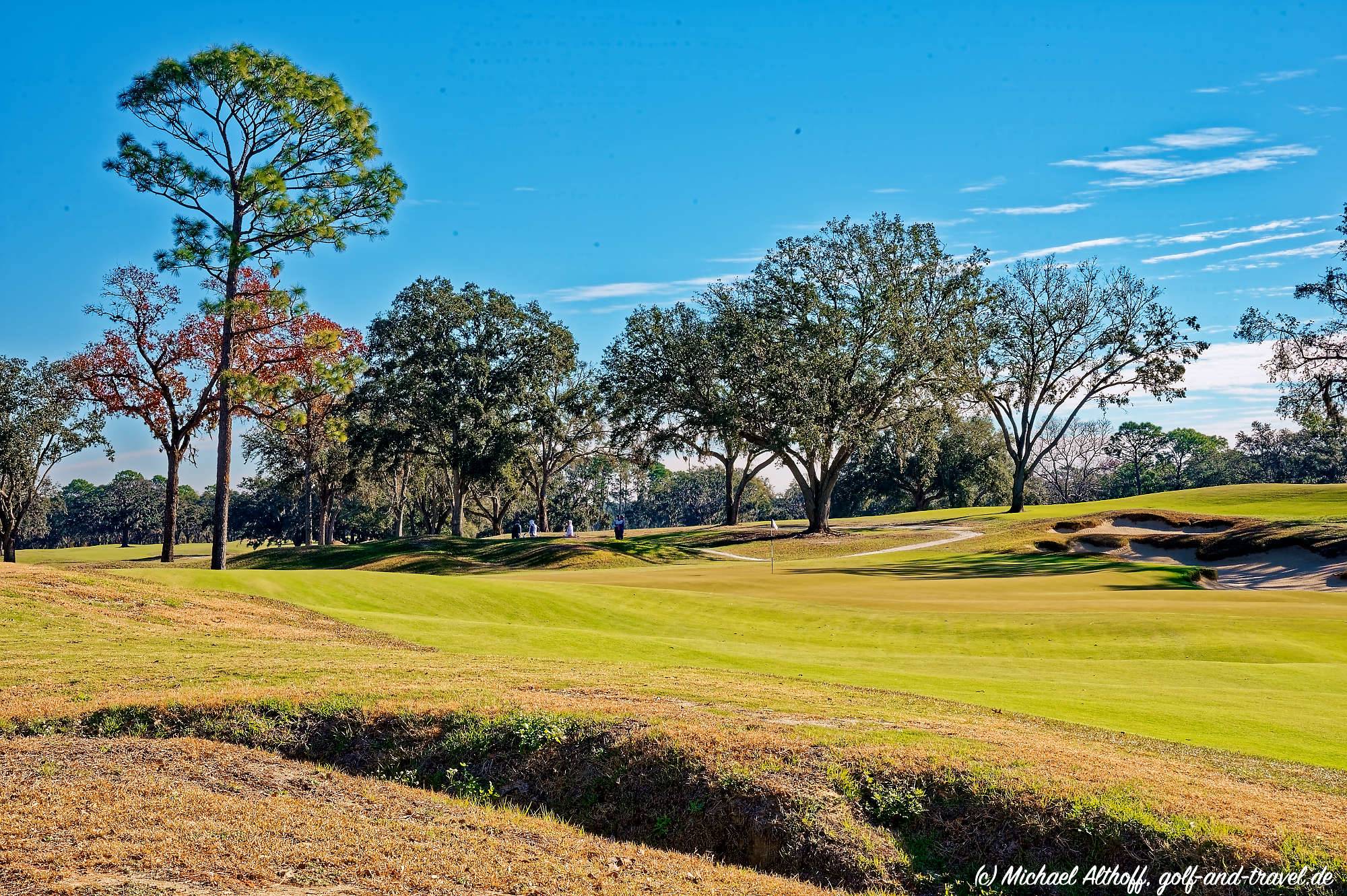Cabot Citrus Farms Roost Bahn 1-9 MZ6 _8750_DxO