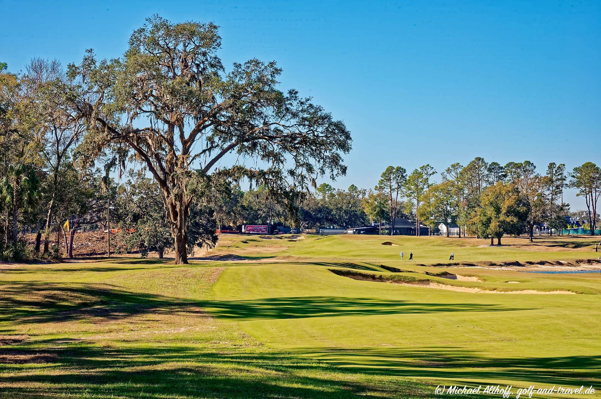 Cabot Citrus Farms Roost Bahn 1-9 MZ6 _8813_DxO