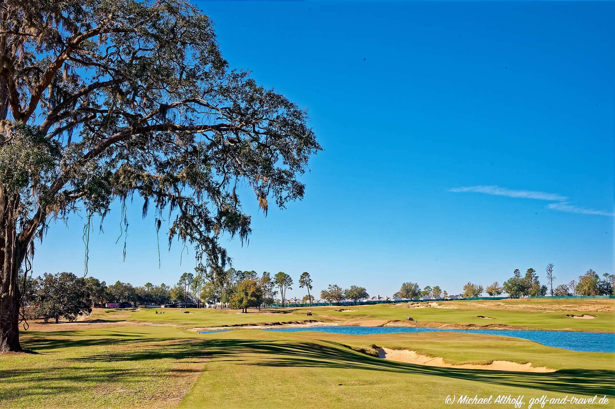 Cabot Citrus Farms Roost Bahn 1-9 MZ6 _8818_DxO