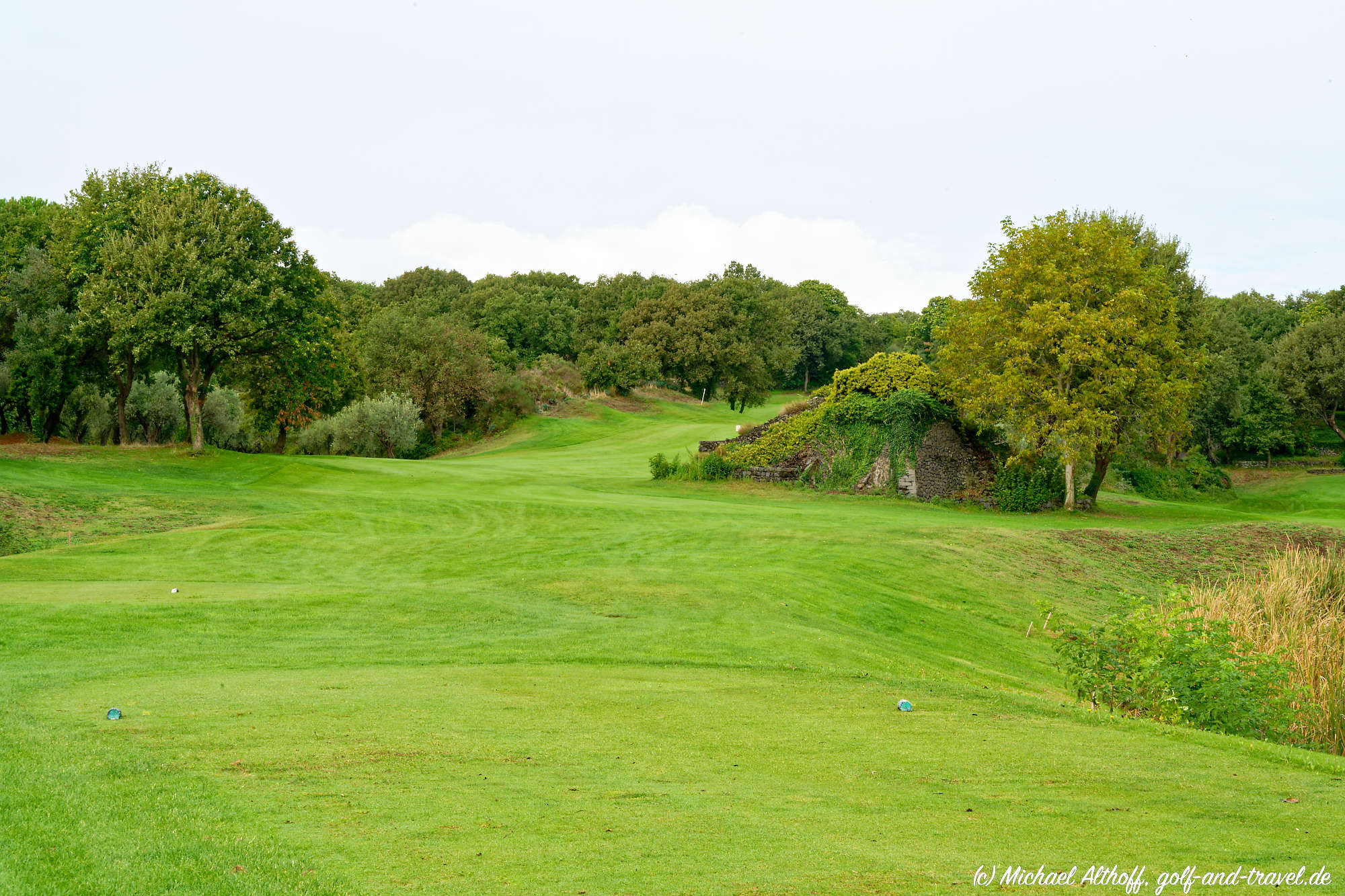 Il Picciolo MA7 _6488_DxO