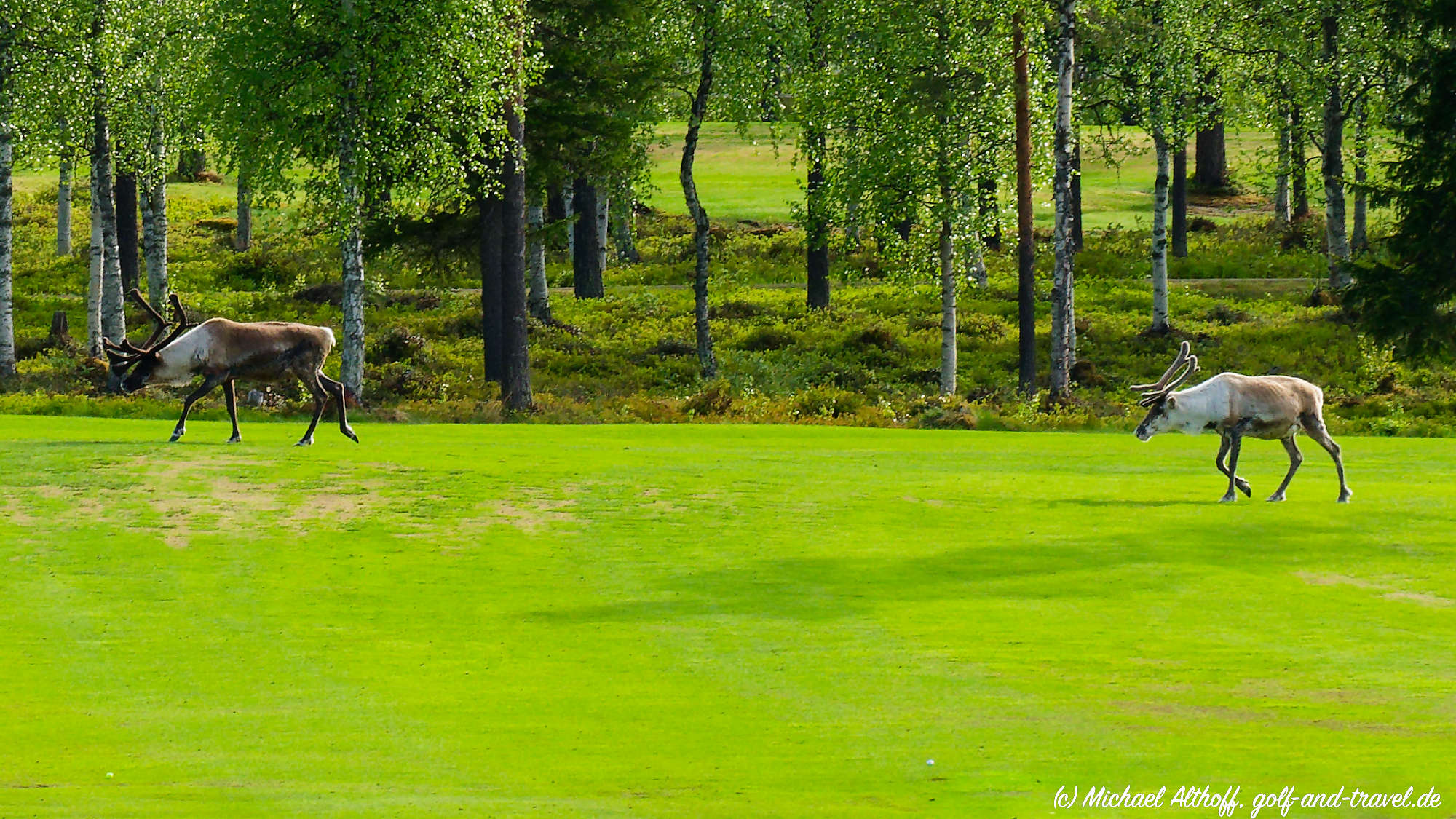 Levi Golf Bahn 10-18 MZ6 _4741_DxO