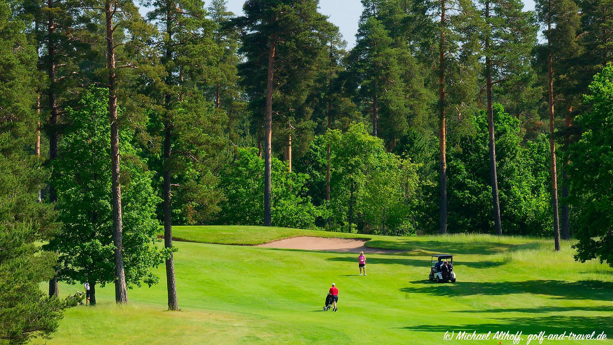 Master Forest Course Bahn 1-9 MZ6 _4926_DxO