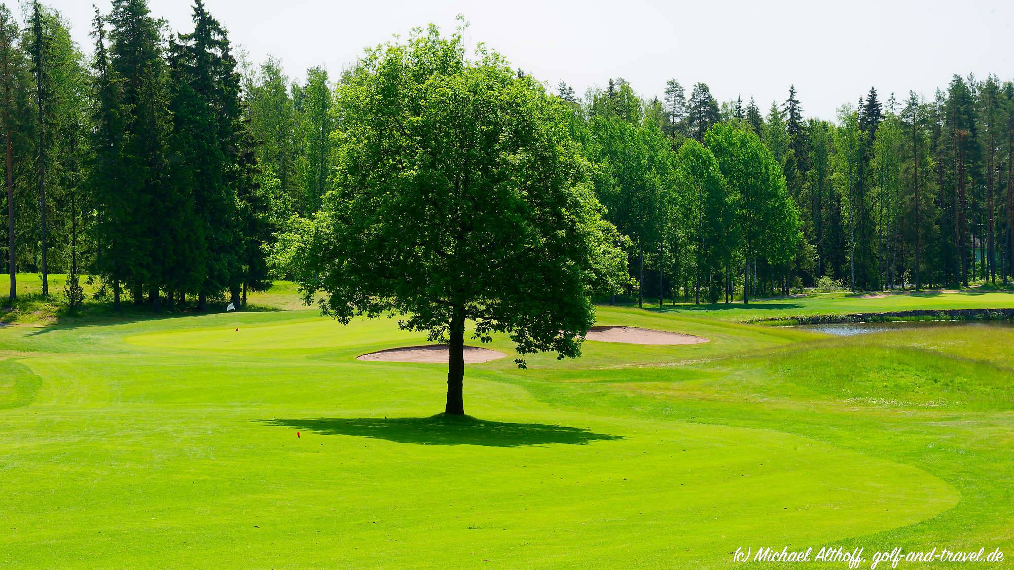 Master Forest Course Bahn 10-18 MZ6 _4979_DxO