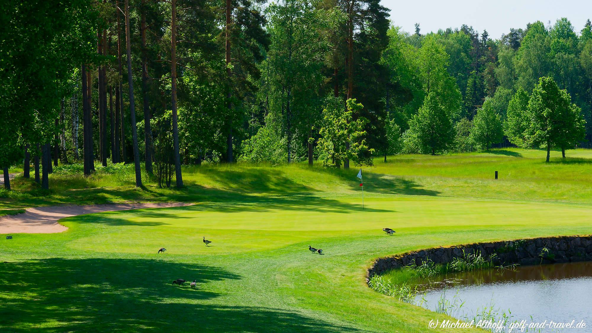 Master Forest Course Bahn 10-18 MZ6 _4984_DxO