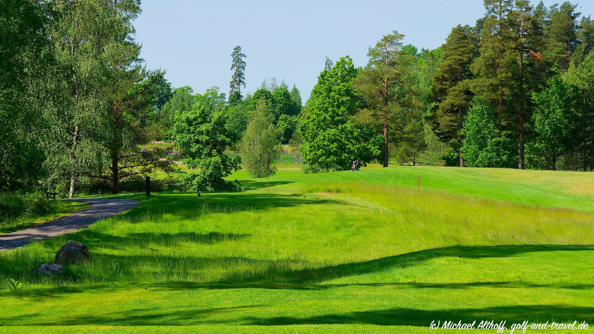 Master Forest Course Bahn 10-18 MZ6 _5009_DxO