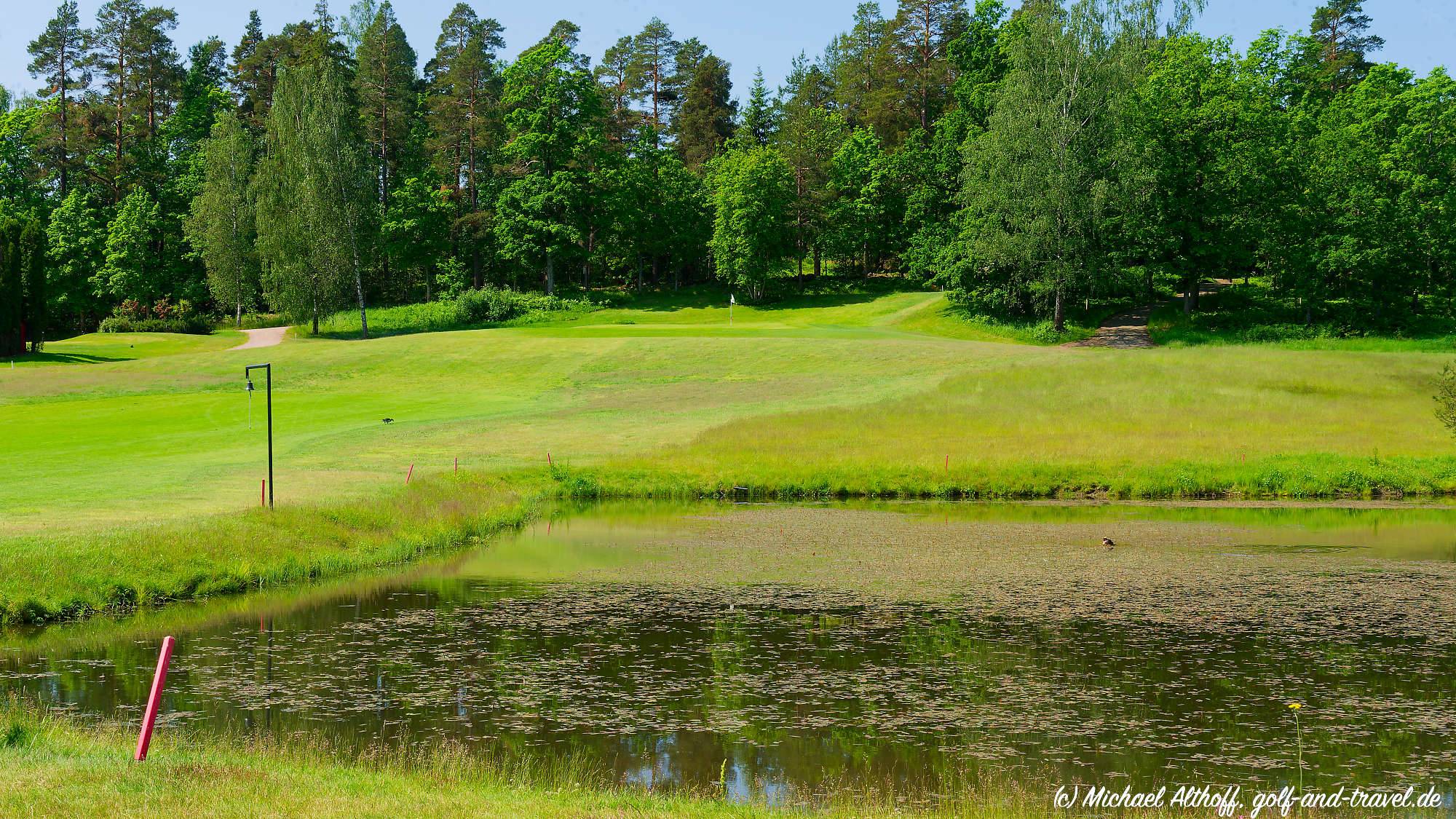 Master Forest Course Bahn 10-18 MZ6 _5014_DxO