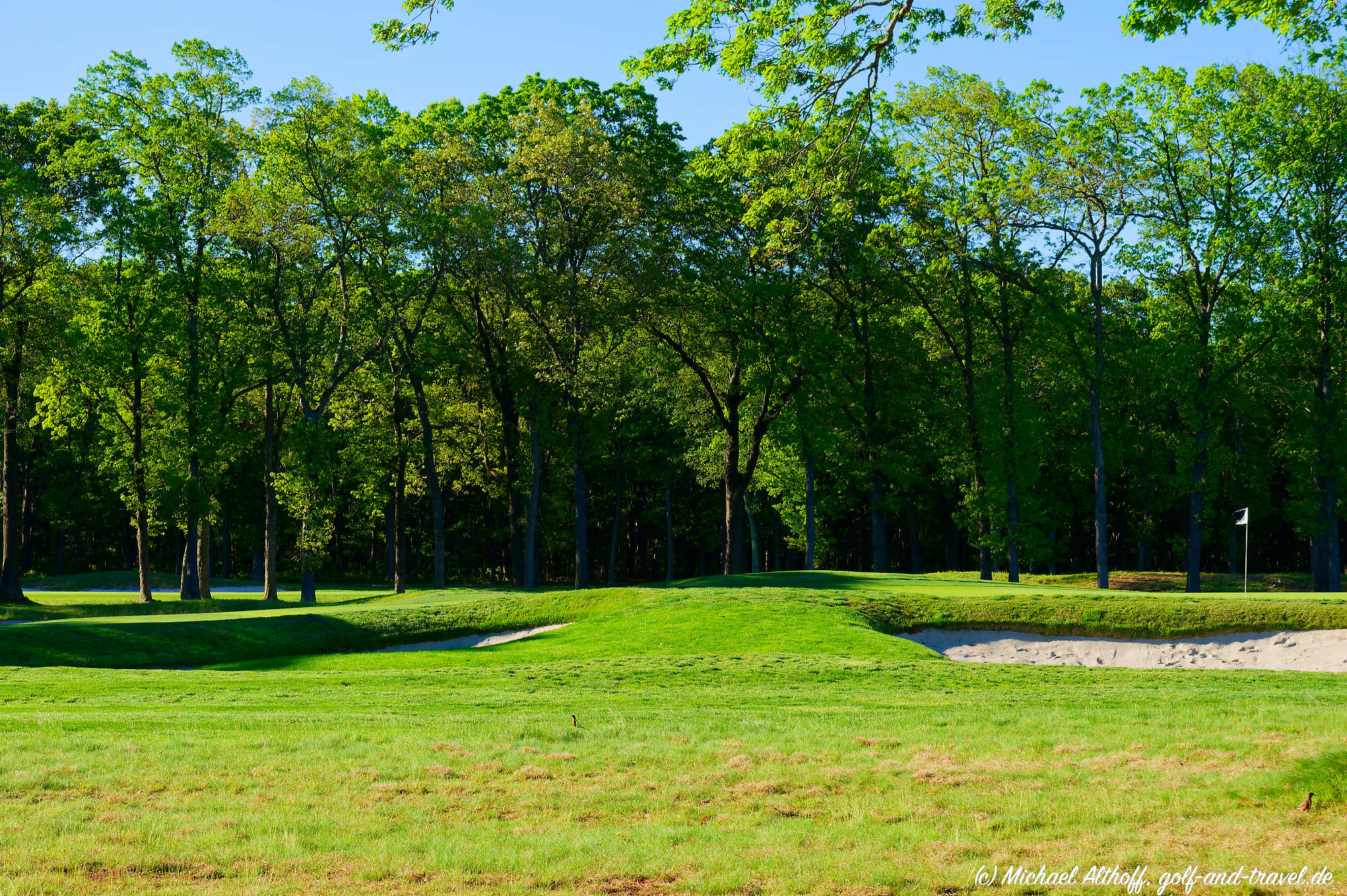 Bethpage Black Bahn 1-9 MZ6 _1790_DxO