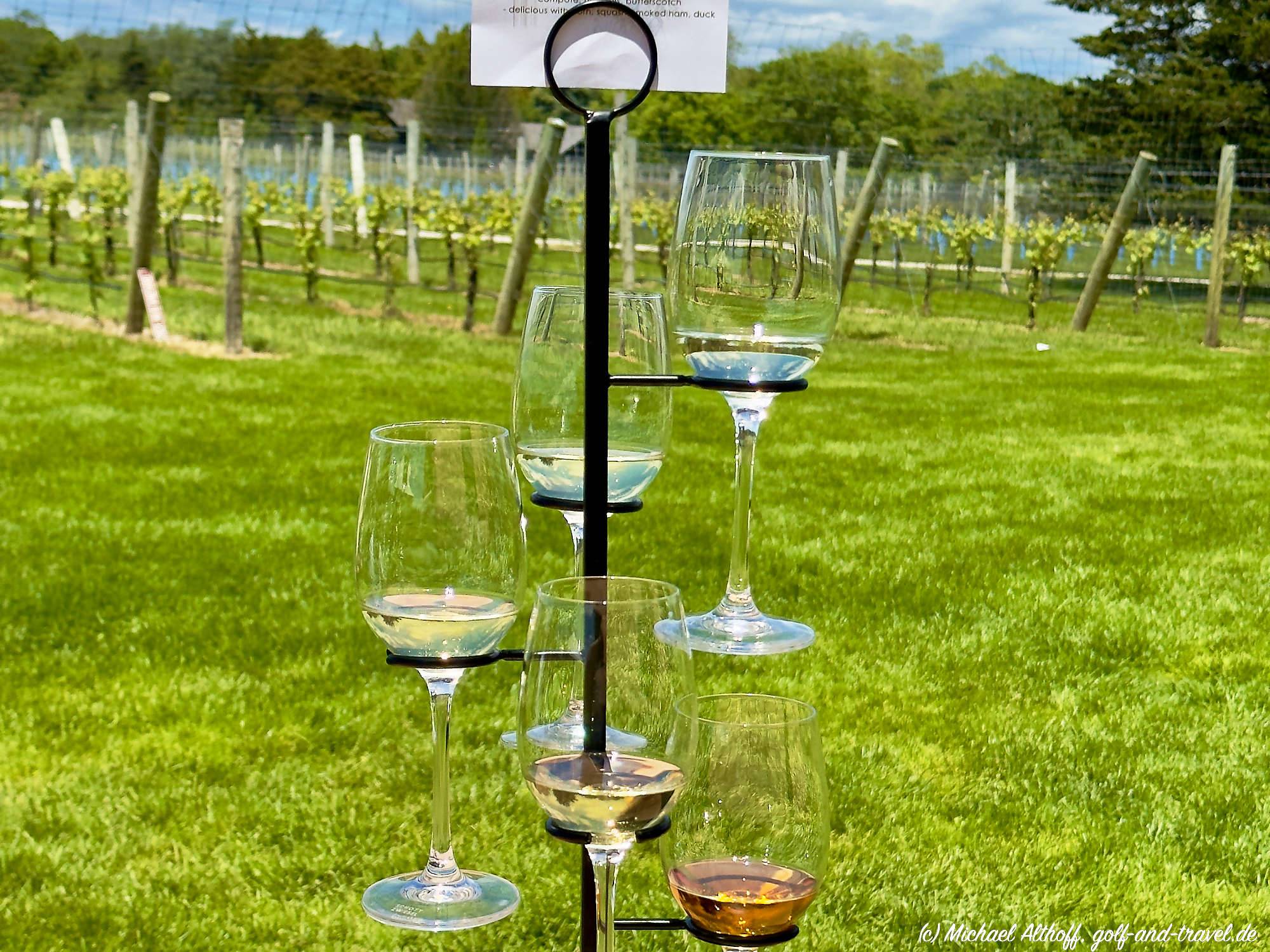 Channing Daughters Winery IMG _9252_1_DxO