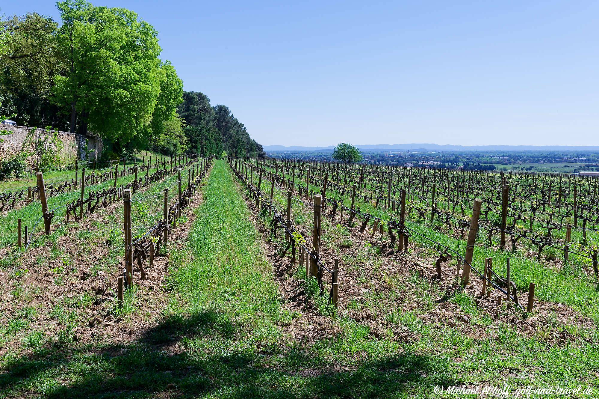 Chateauneuf dP Chateau La Nerthe MZ6 _9150_DxO