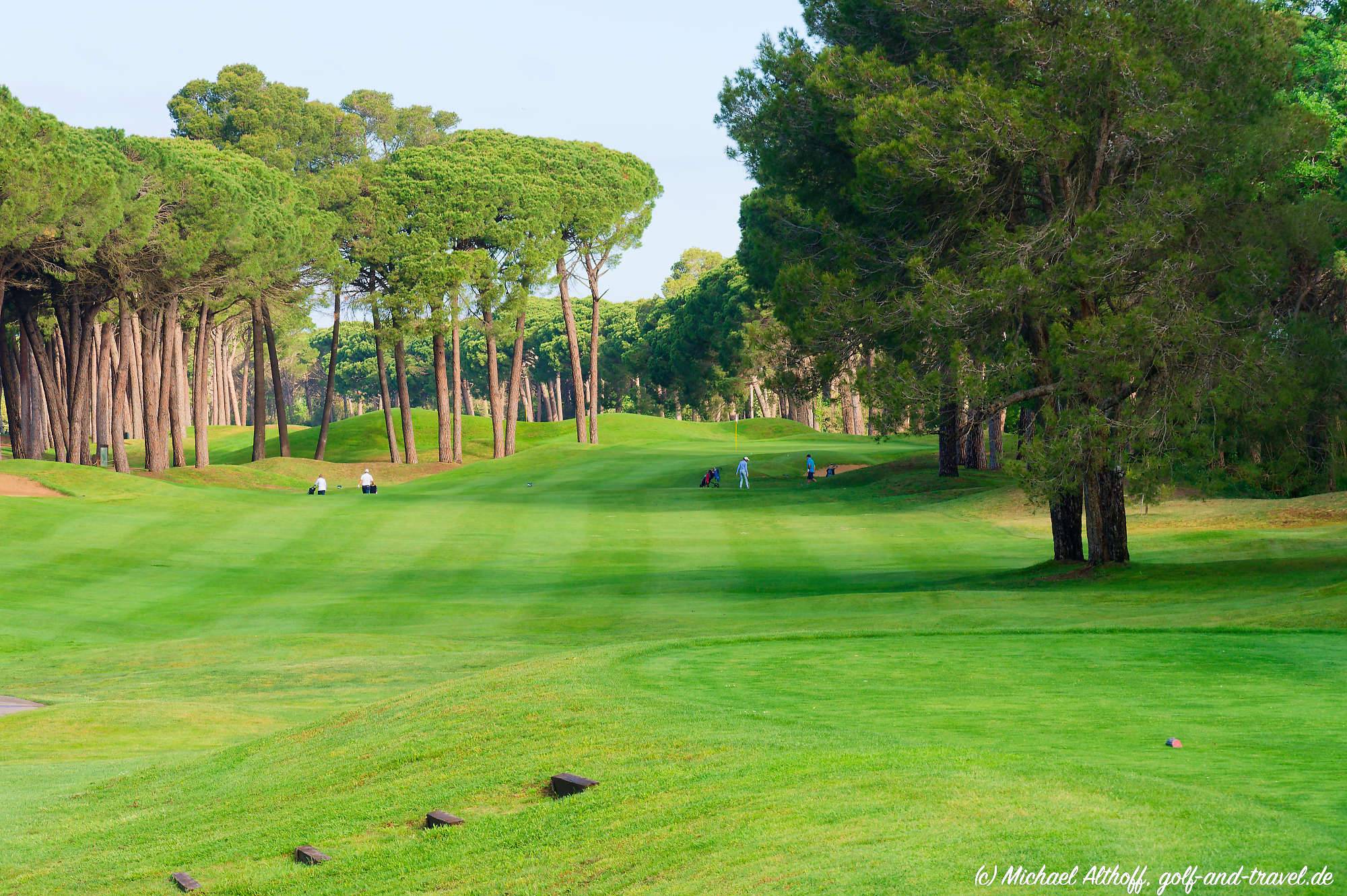 Emporda Forest Bahn 1-9 MZ6 _0266_DxO