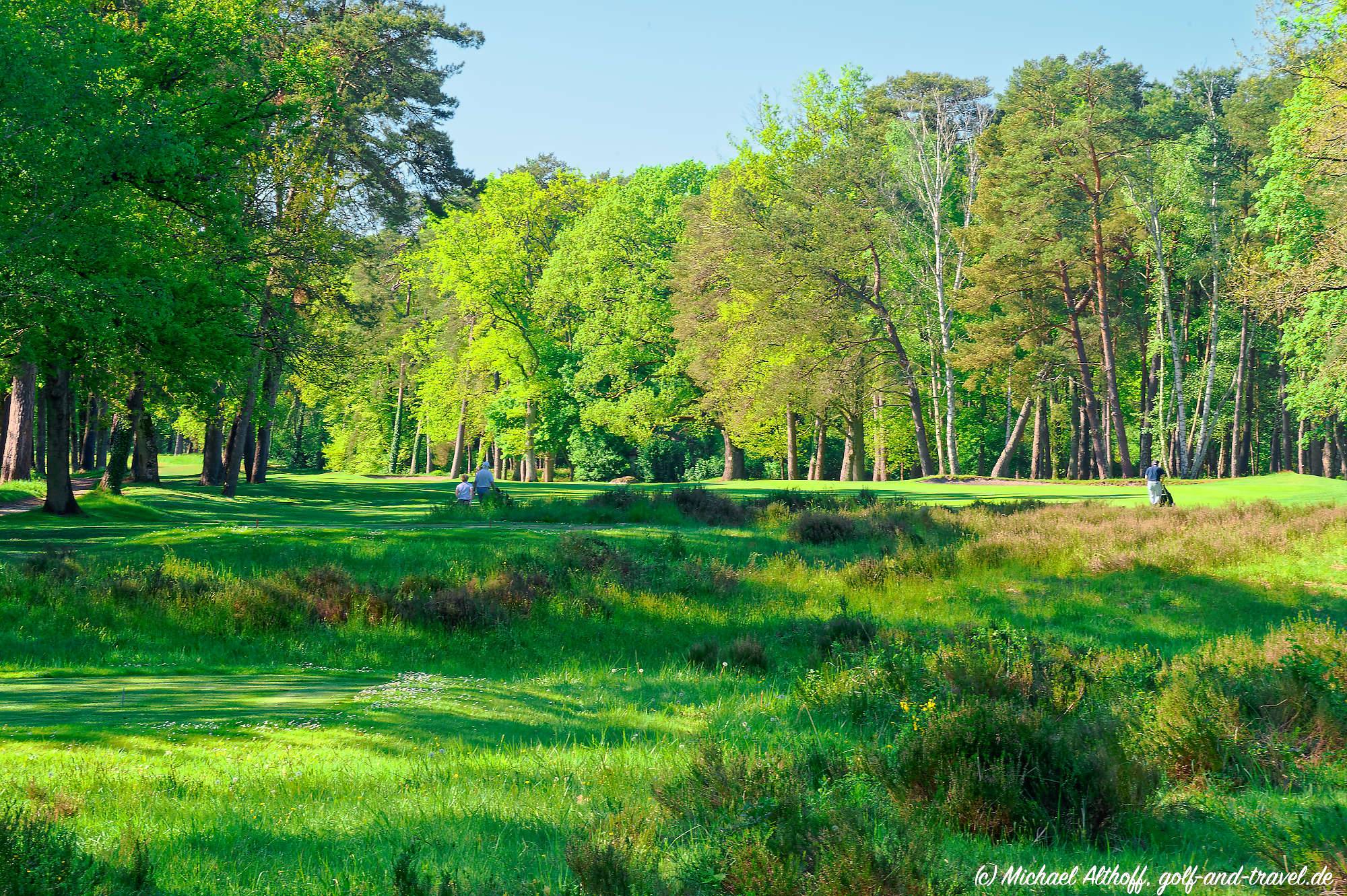 Golf Fontainebleau Bahn 10-18 MZ6 _0829_DxO