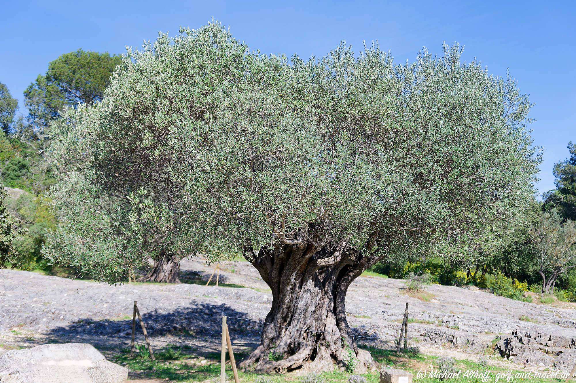 Pont du Gard Fotos MZ6 _9106_DxO