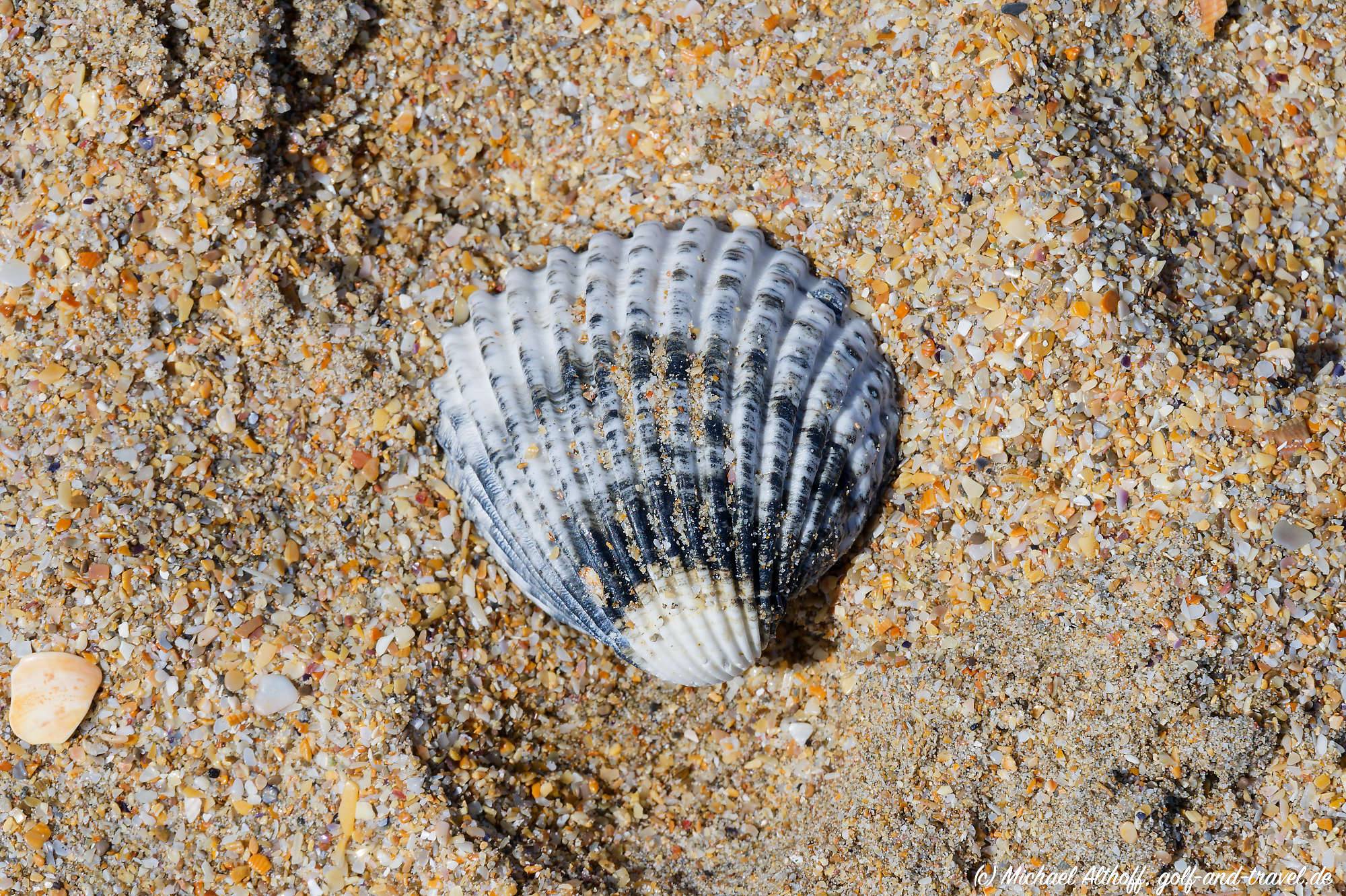 Sete Strand Fotos MZ6 _9860_DxO
