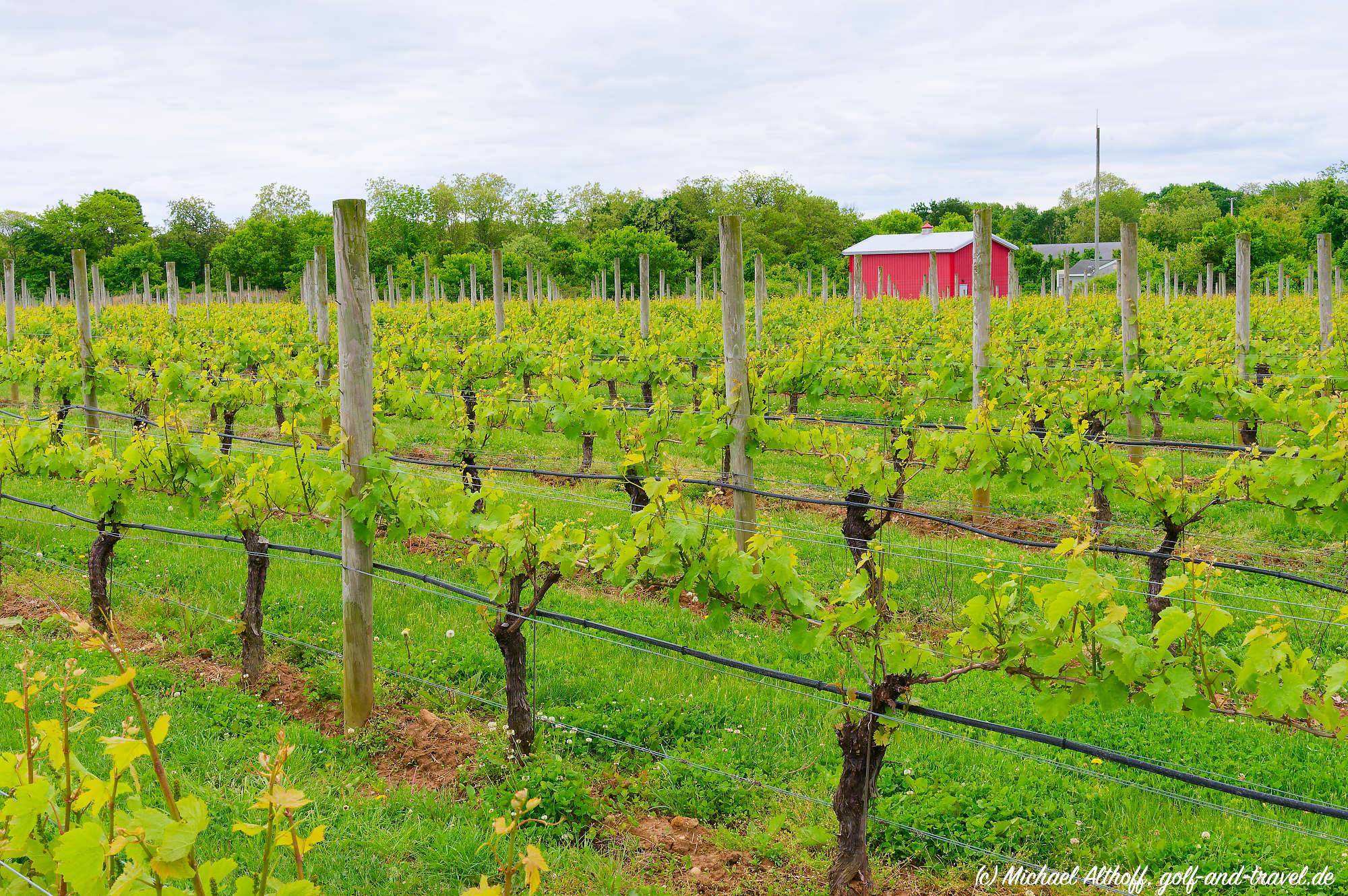 Sparkling Pointe Winery MZ6 _1846_DxO