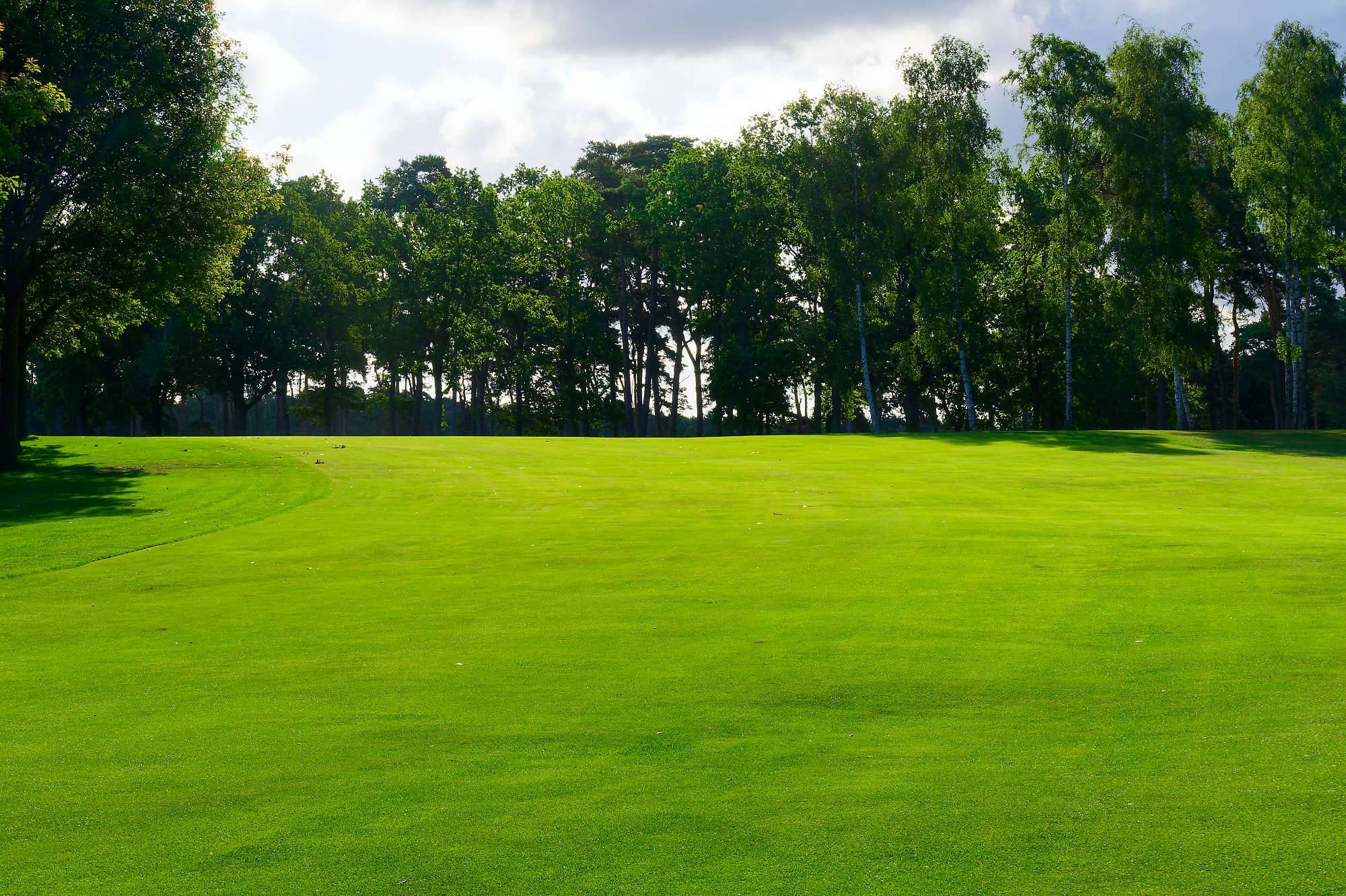Barsebaeck Pine Course Bahn 1-9 MZ6 _0312_DxO
