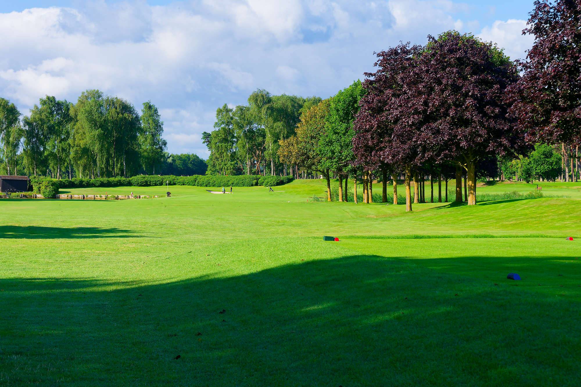 Barsebaeck Pine Course Bahn 1-9 MZ6 _0337_DxO