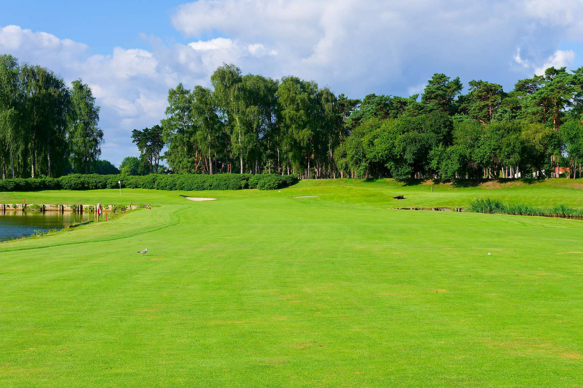 Barsebaeck Pine Course Bahn 1-9 MZ6 _0342_DxO