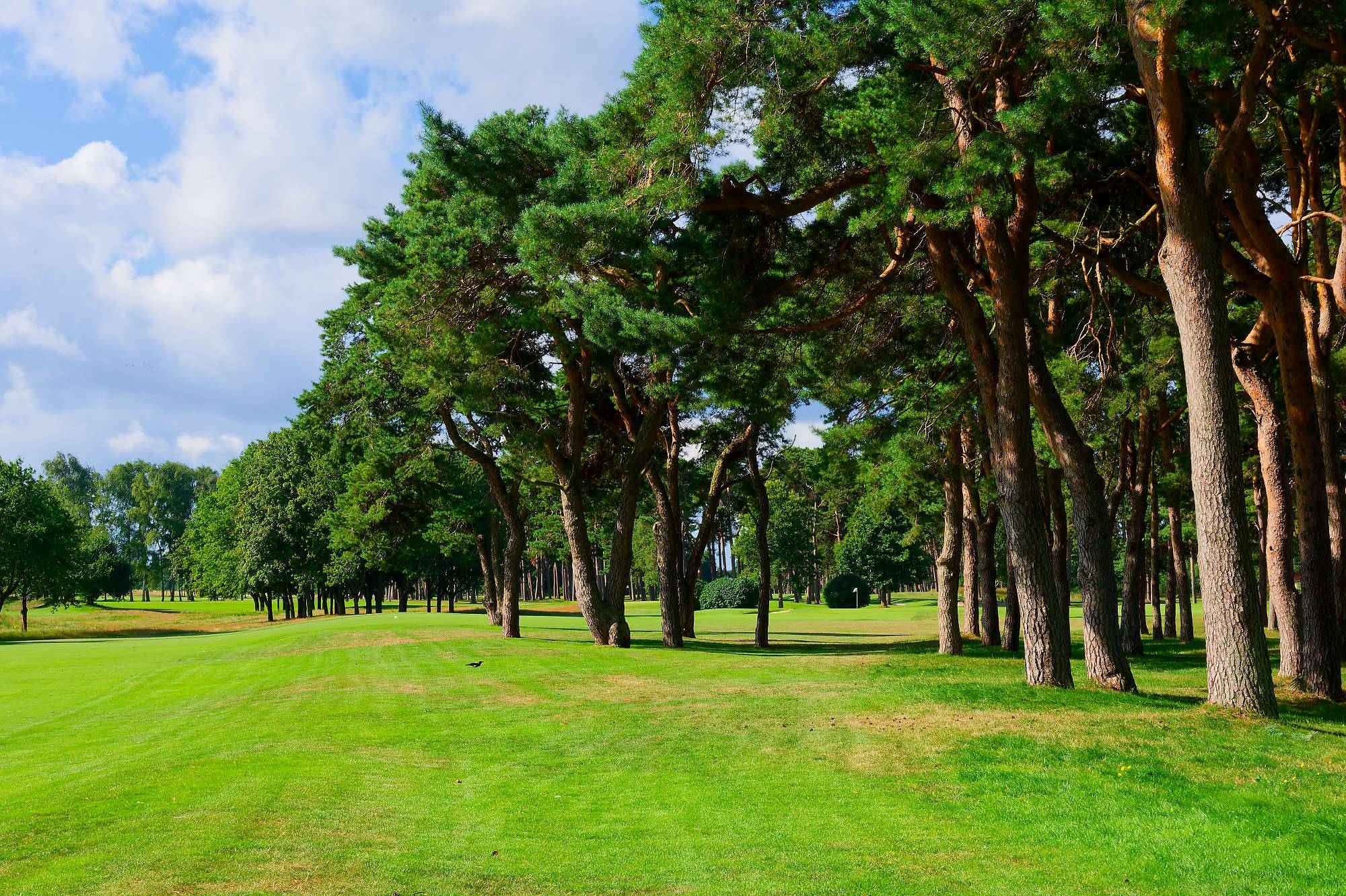 Barsebaeck Pine Course Bahn 1-9 MZ6 _0355_DxO