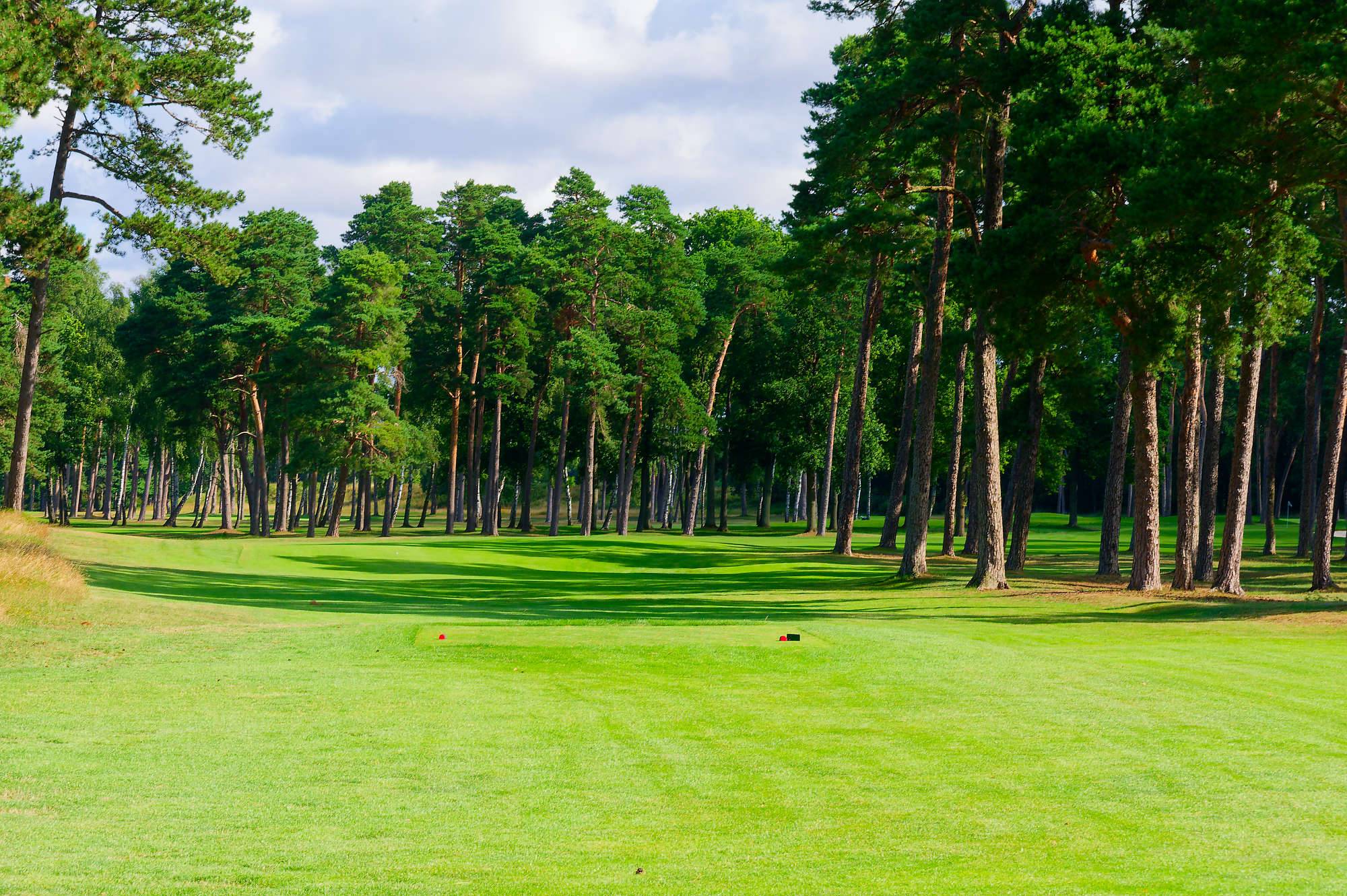 Barsebaeck Pine Course Bahn 10-18 MZ6 _0366_DxO