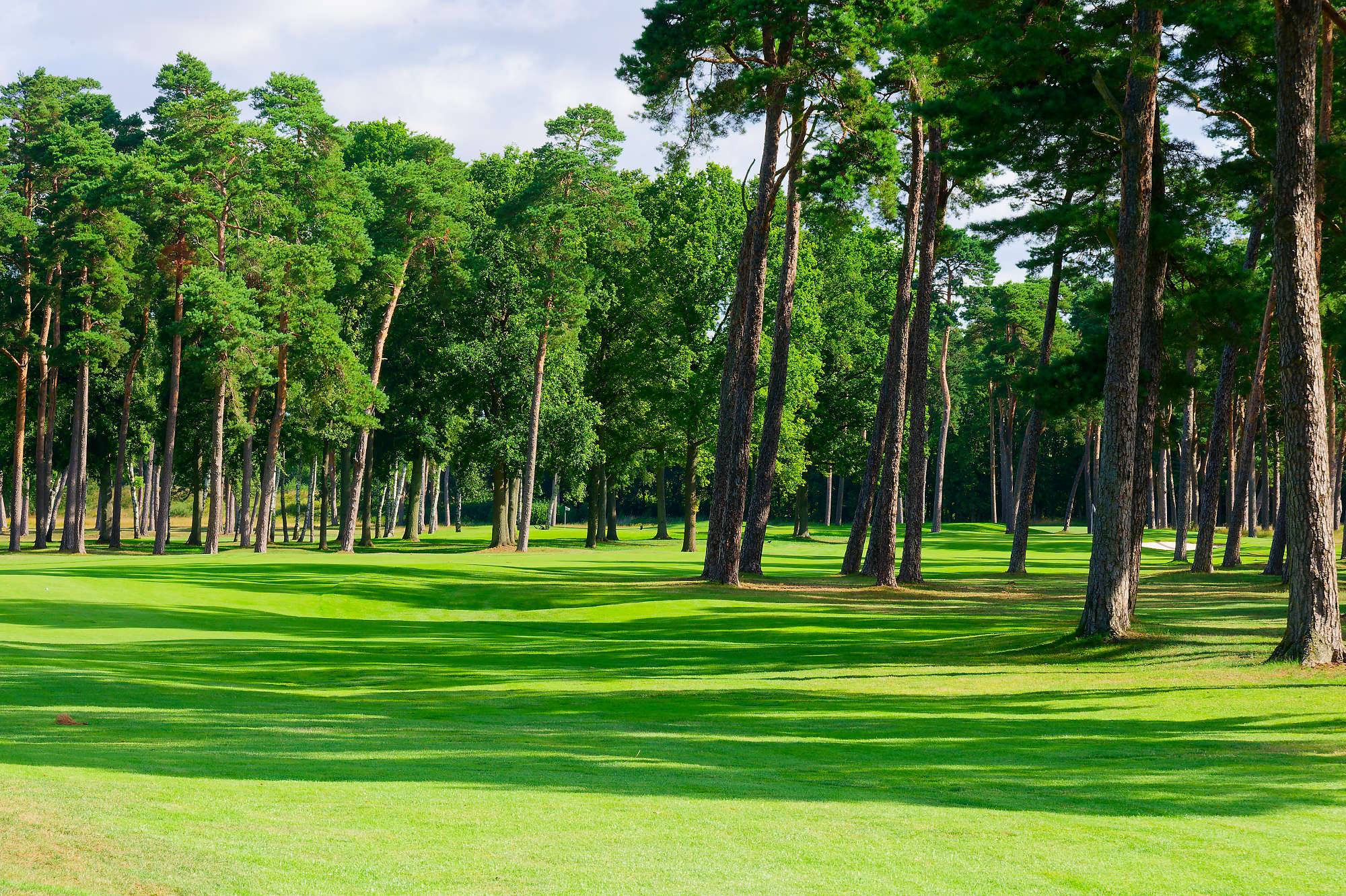 Barsebaeck Pine Course Bahn 10-18 MZ6 _0367_DxO