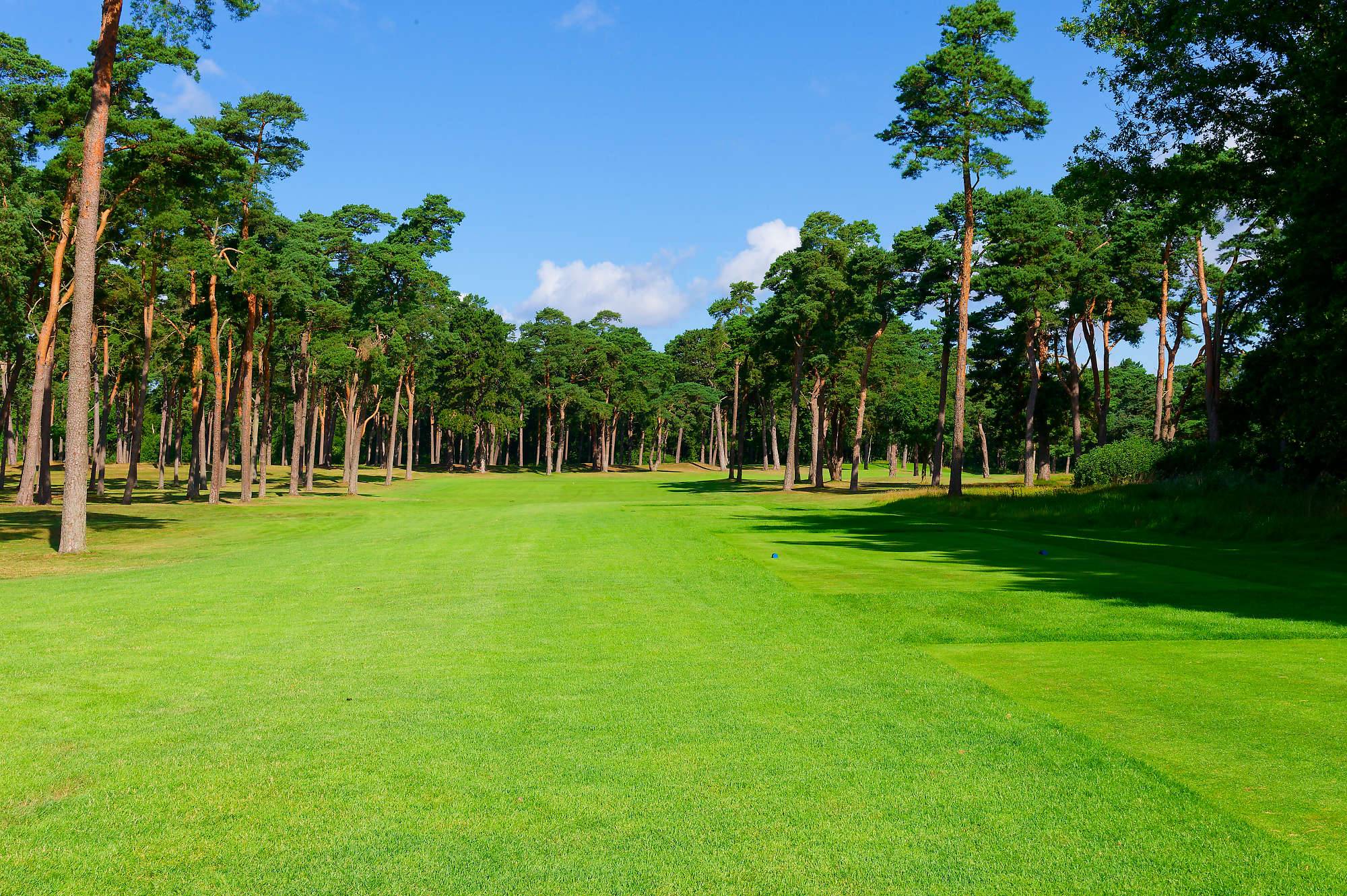 Barsebaeck Pine Course Bahn 10-18 MZ6 _0373_DxO