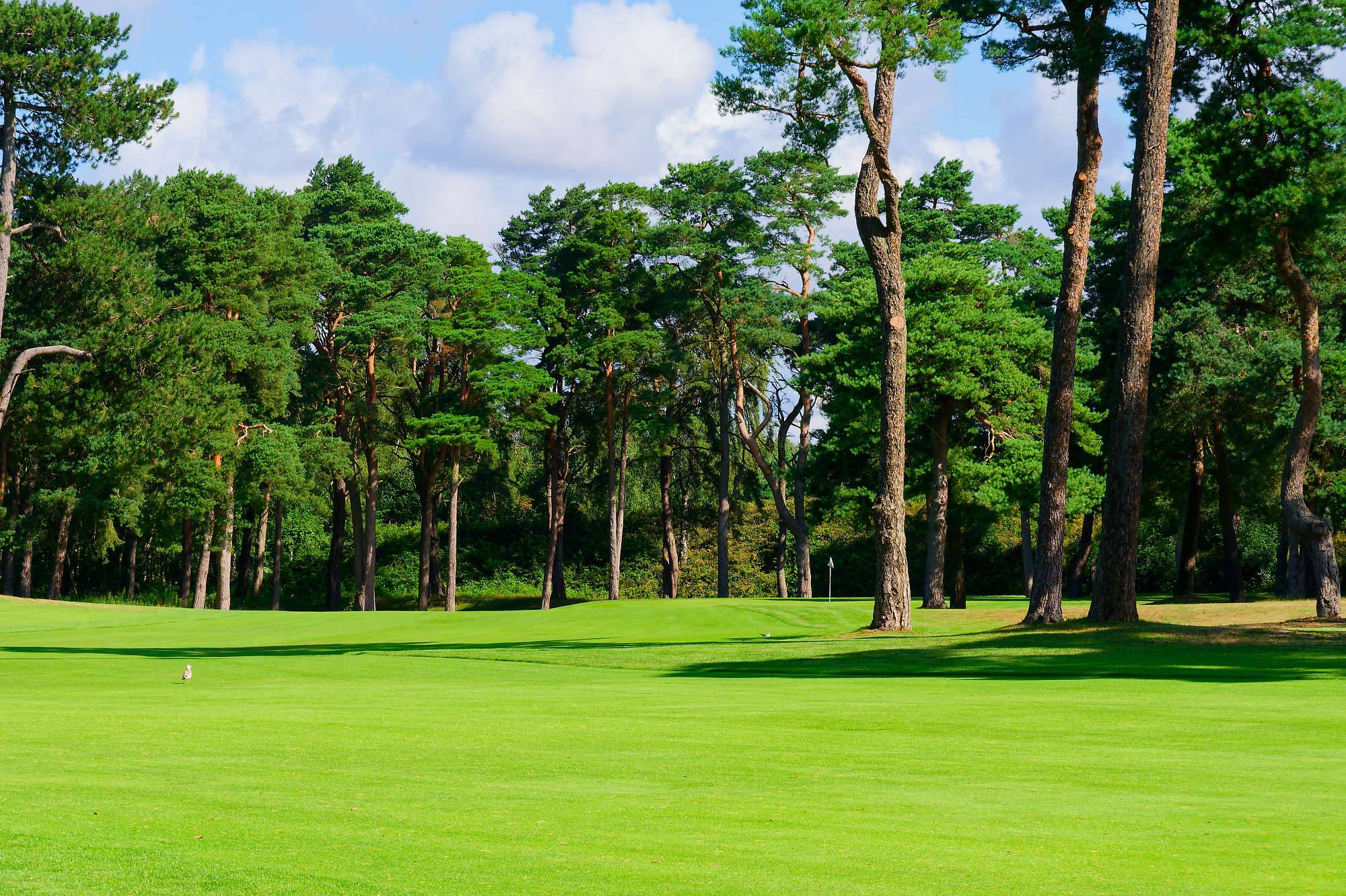 Barsebaeck Pine Course Bahn 10-18 MZ6 _0375_DxO