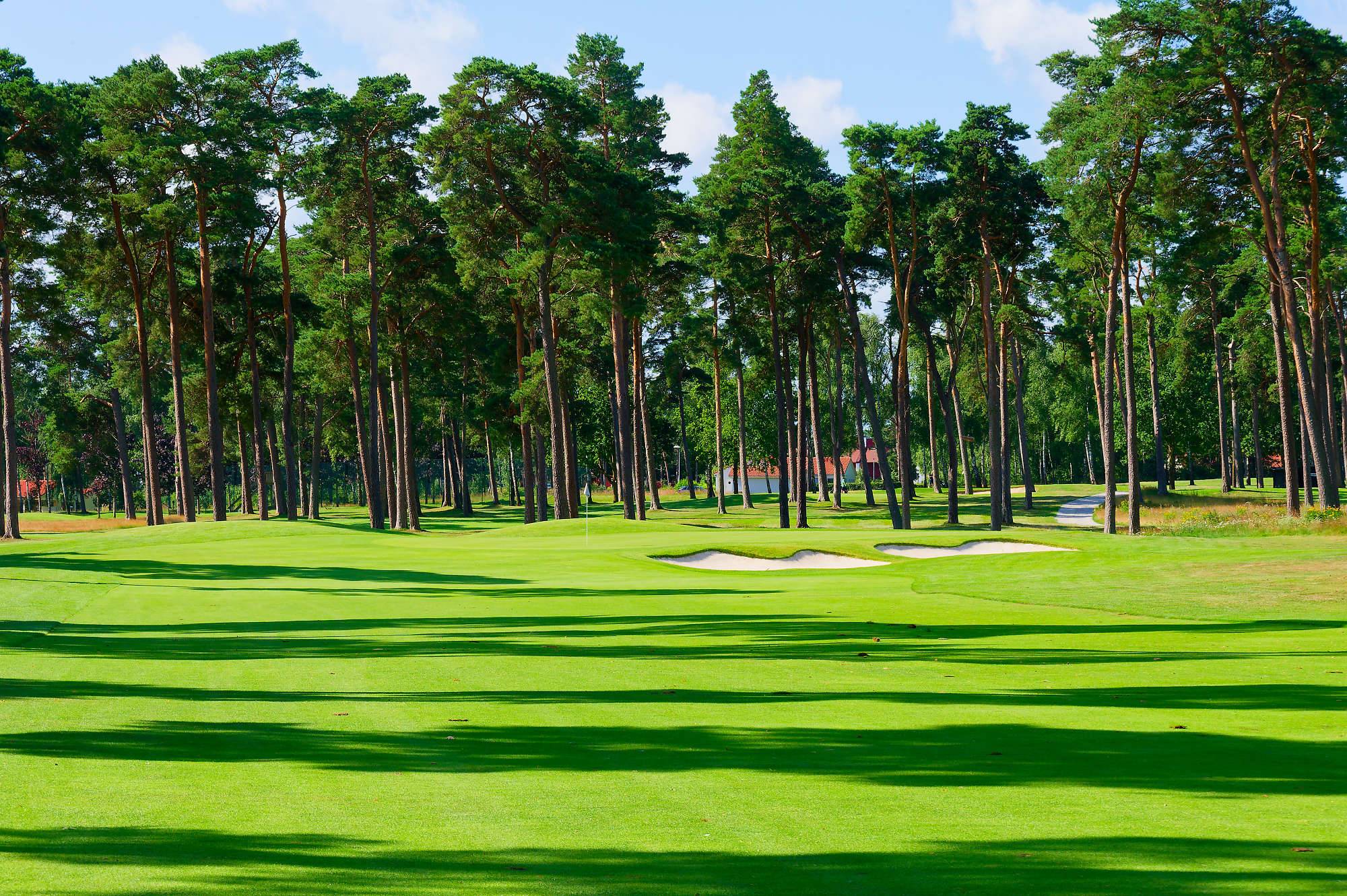 Barsebaeck Pine Course Bahn 10-18 MZ6 _0393_DxO
